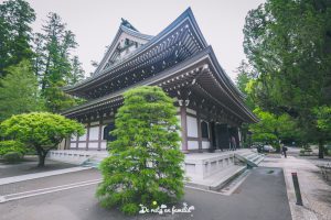 visitar kamakura desde tokyo