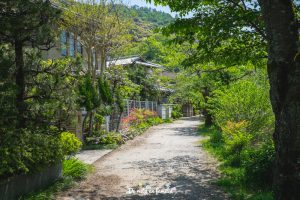 visitar Kyoto norte higashiyama