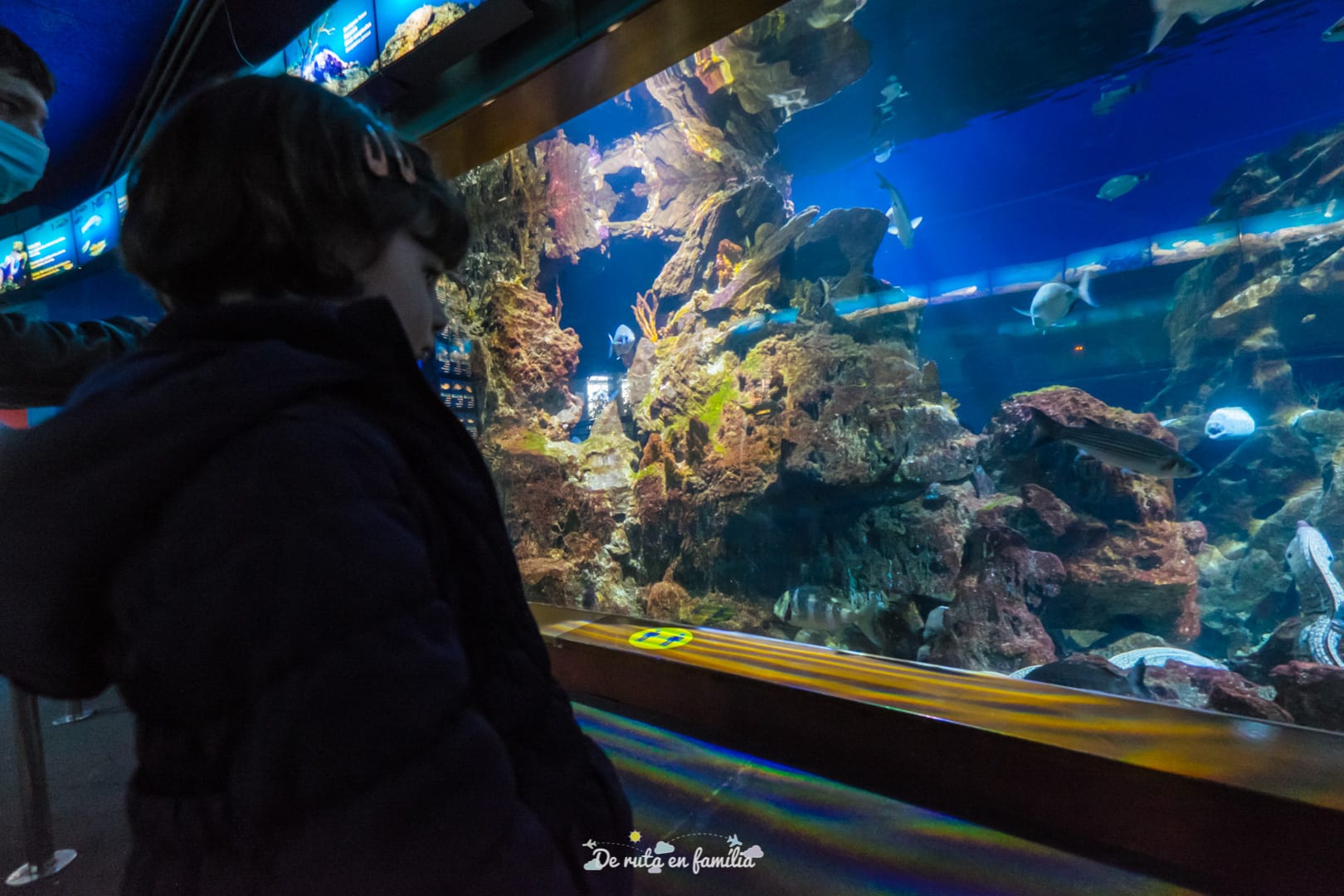 Barcelona con niños. Aquarium