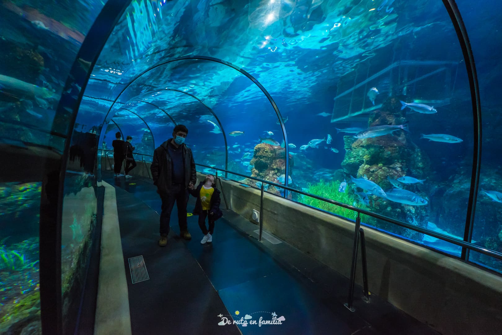 Barcelona con niños. Aquarium