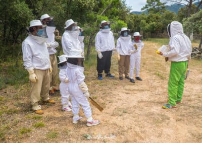 Actividad El mundo de las abejas de Drac Actiu