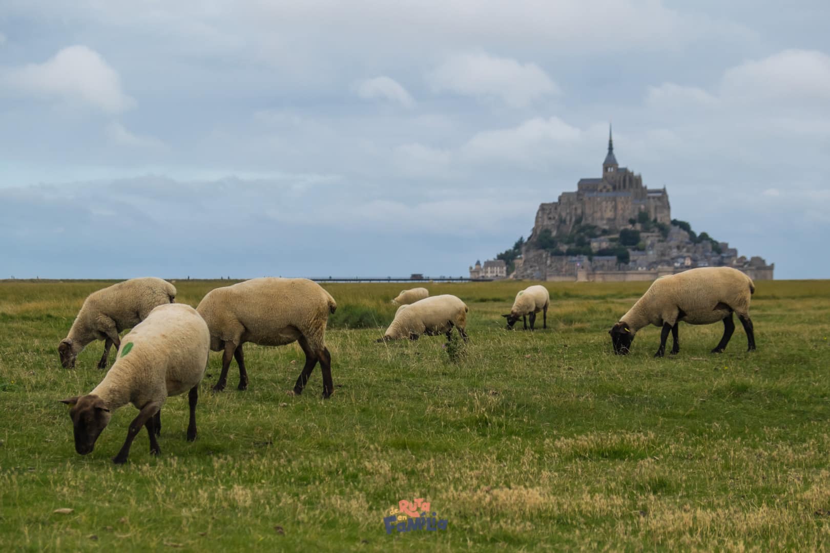 Las mejores fotos del Mont Saint-Michel