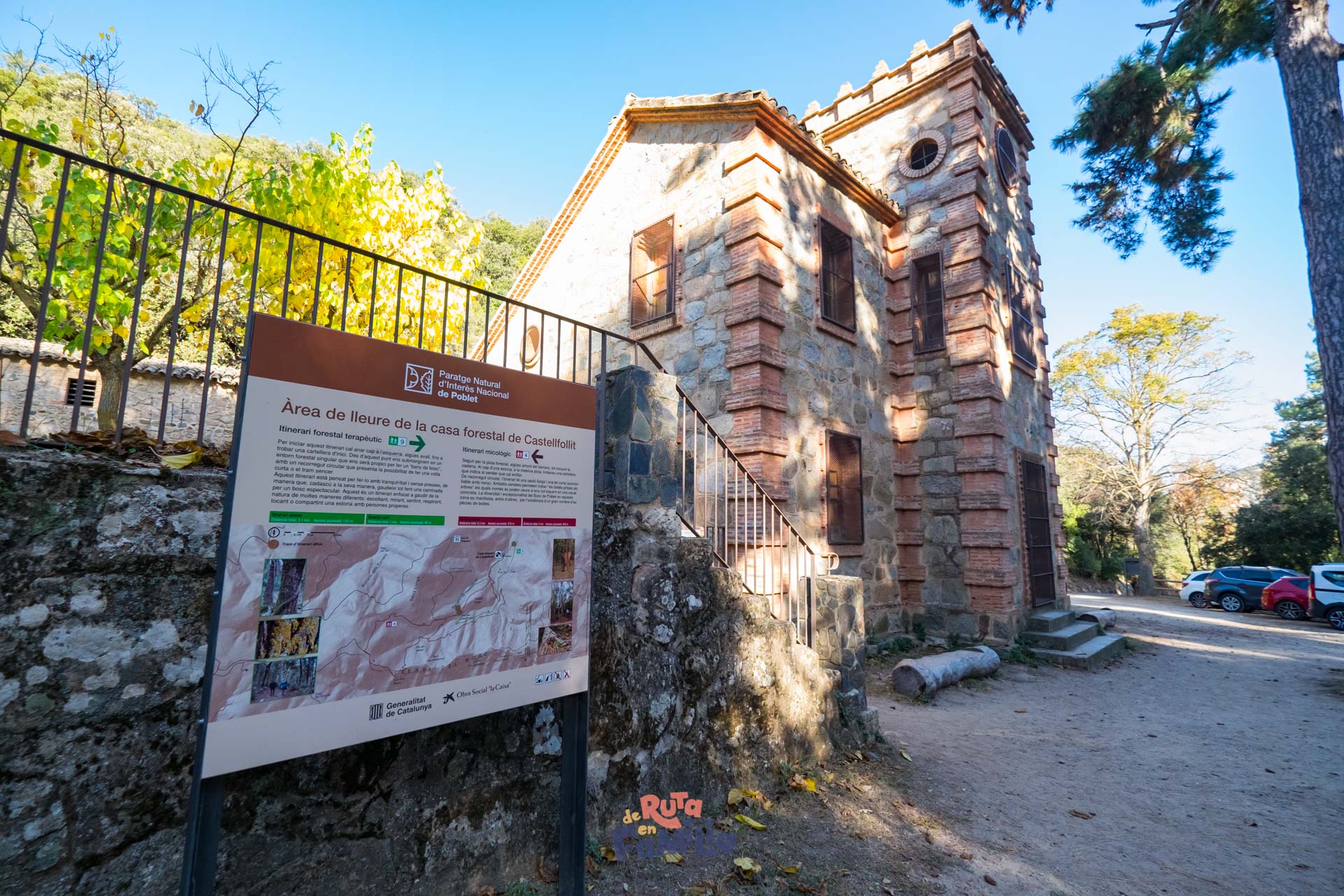 Bosc pintat de Poblet, ruta micológica para hacer con niños en la Conca de Barberà