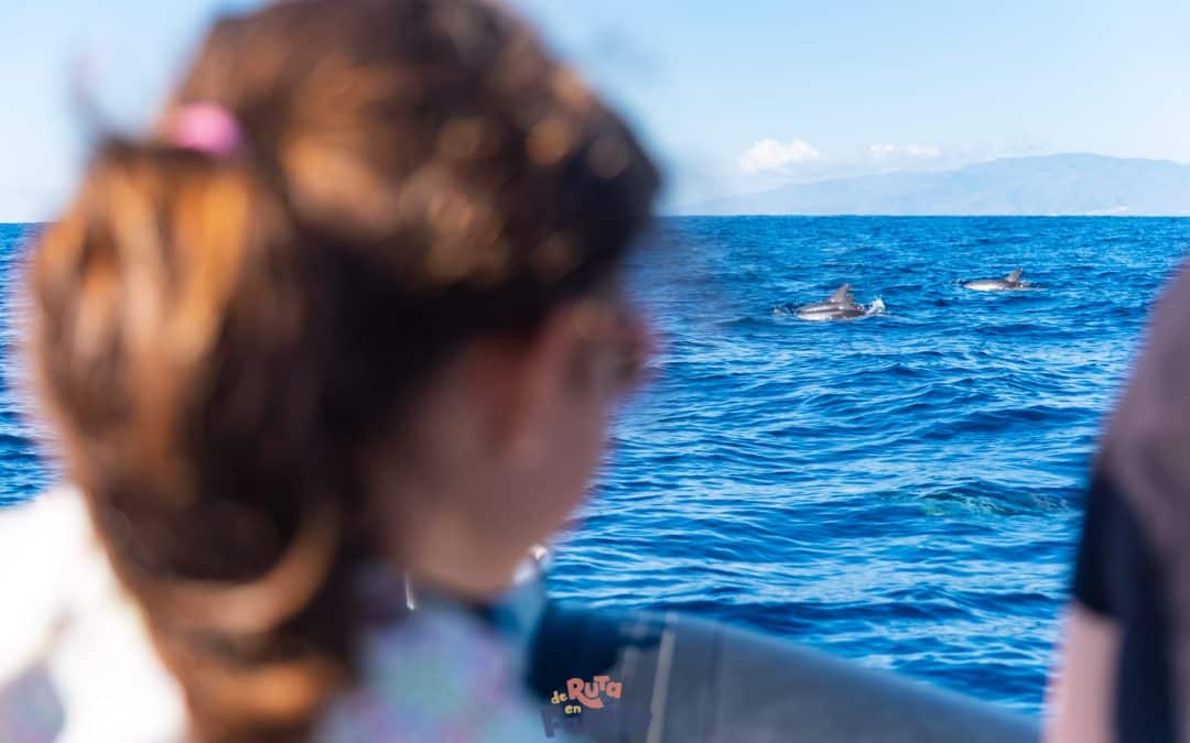 Avistamiento de delfines y ballenas en Tenerife, una experiencia inolvidable